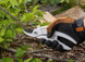 Набір Fiskars: Секатор площинний White P57 + Лопата садова штикова Classic FSC 1026916101477 фото 4