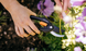 Секатор площинний Fiskars SingleStep P26 (1000567) 1000567 фото 2