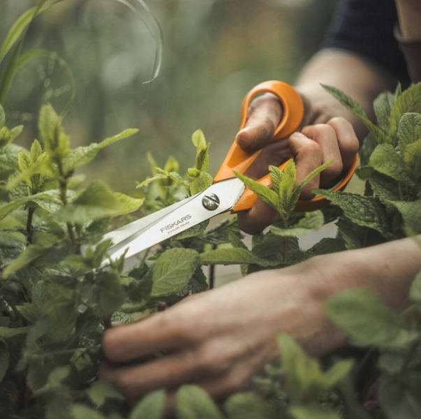 Ножиці Fiskars Classic 25 см | 1001538 1001538 фото