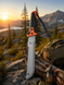Набір Мачете Gerber Compact Clearpath + Ніж-топірець Gerber DOWNWIND ULU 1024856105984 фото 2